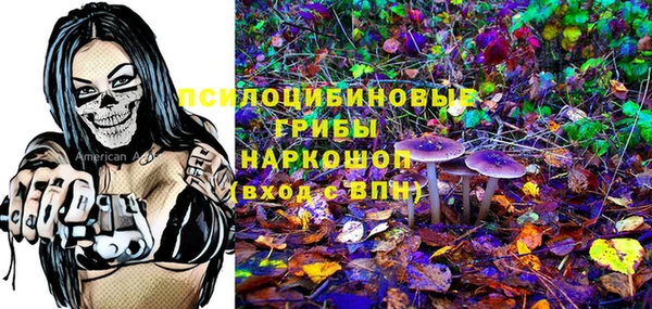 экстази Богородицк