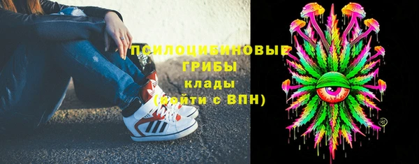 экстази Богородицк