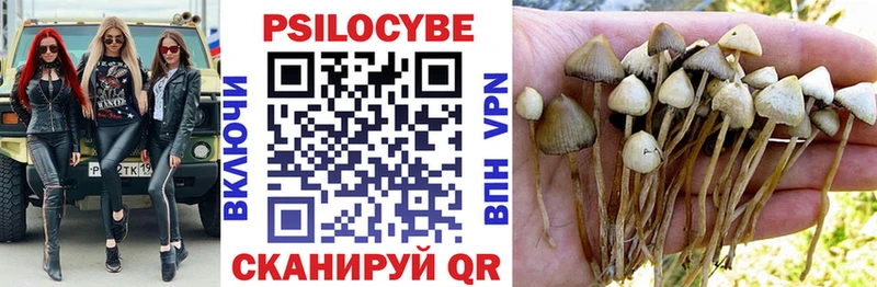 Галлюциногенные грибы ЛСД  Малая Вишера 